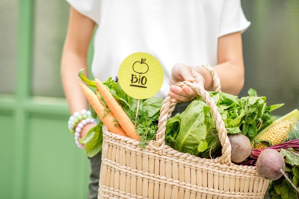 Ein geflochtener Korb gefüllt mit verschiedenem Gemüse. In dem Korb steckt ein Schild mit der Aufschrift BIO. Der Korb wird gehalten von einer Person in einem weißten T-Shirt. Die Person trägt mehrere Armbänder.