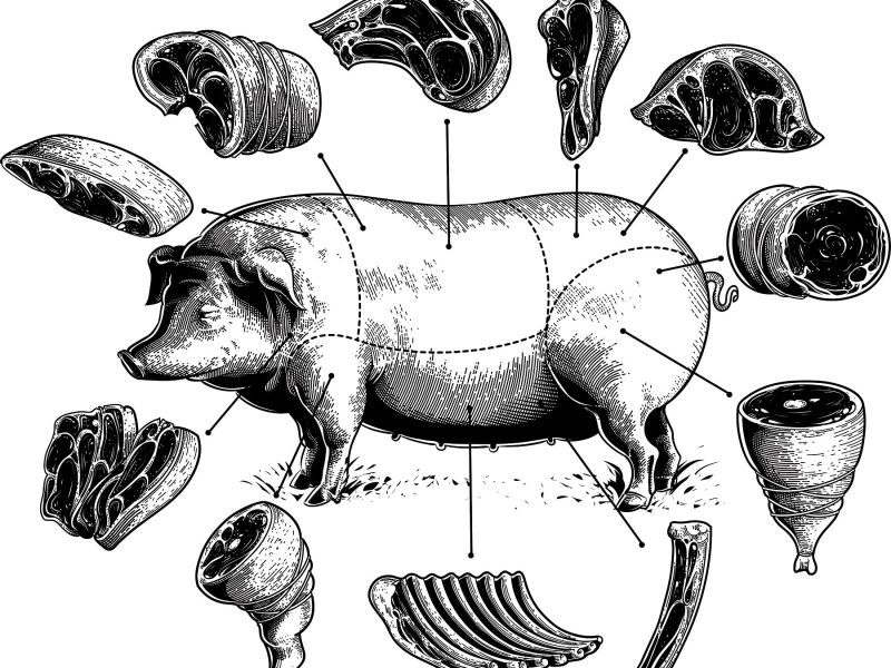 Metzgerdiagramm eines Schweins bezogen auf die Nose-to-Tail-Verarbeitung