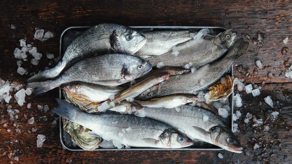 Auf einen Blick: So erkennst du frischen Fisch