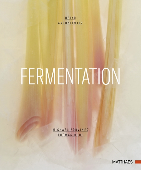 Buchcover: "Fermentation"