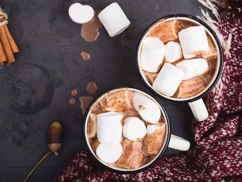 Zwei Tassen mit Kakao und Marshmallows, passend zum Tag des Kakaos, neben Zimtstangen, einer Eicheö und einem Schal vor einem grauen Hintergrund.