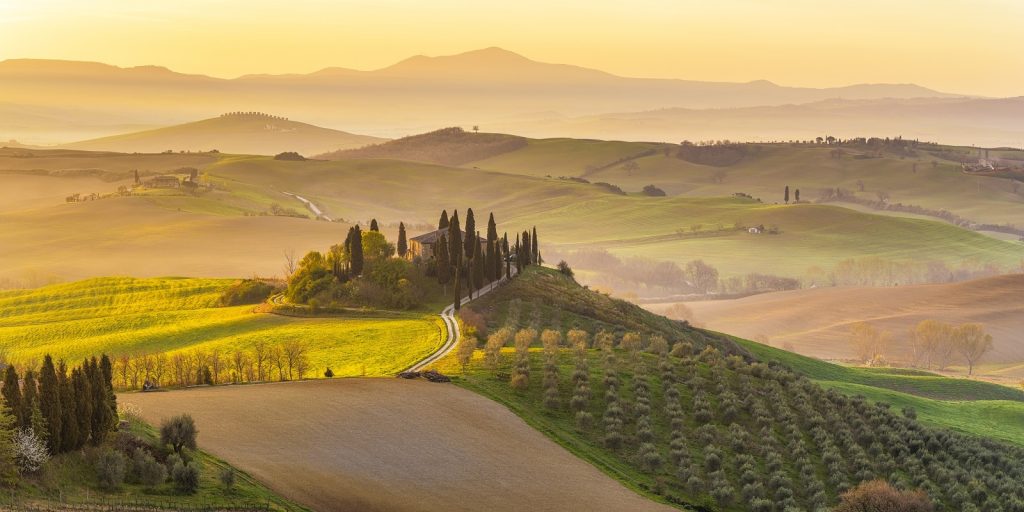 Blick auf eine italienische Landschaft in der Toskana mit den Weinbergen, Wiesen, Feldern und Hügeln, alles in das Licht der aufgehenden Sonne getaucht.