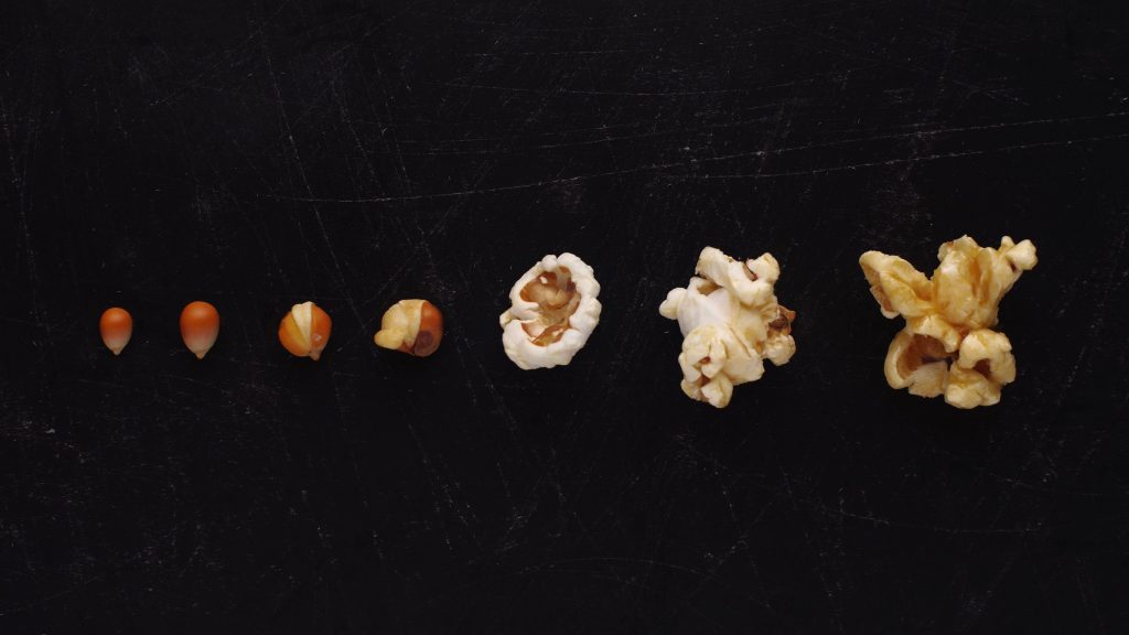 Von links bis rechts sind die verschiedenen Stufen eines Popcorn Körns dargestellt, von ungepoppt, während des Aufpoppens bis zum fertigen Popcorn, vor einem schwarzen Hintergrund.