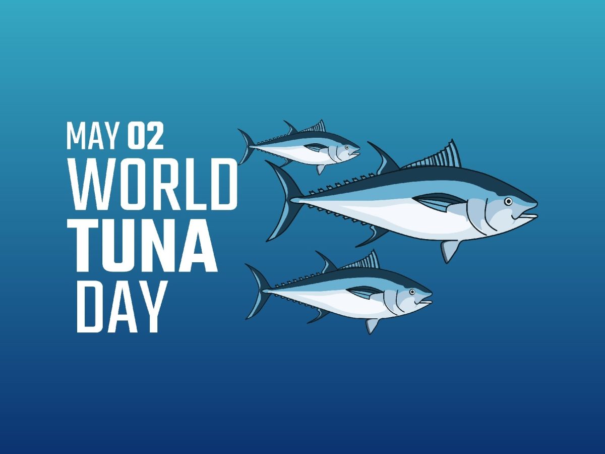 Drei gezeichnete Thunfische auf blauem Hintergrund mit der Schrift May 02 World Tuna Day auf der linken Seite.