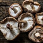 Shiitake-Pilz, die auf einem Holztisch liegen