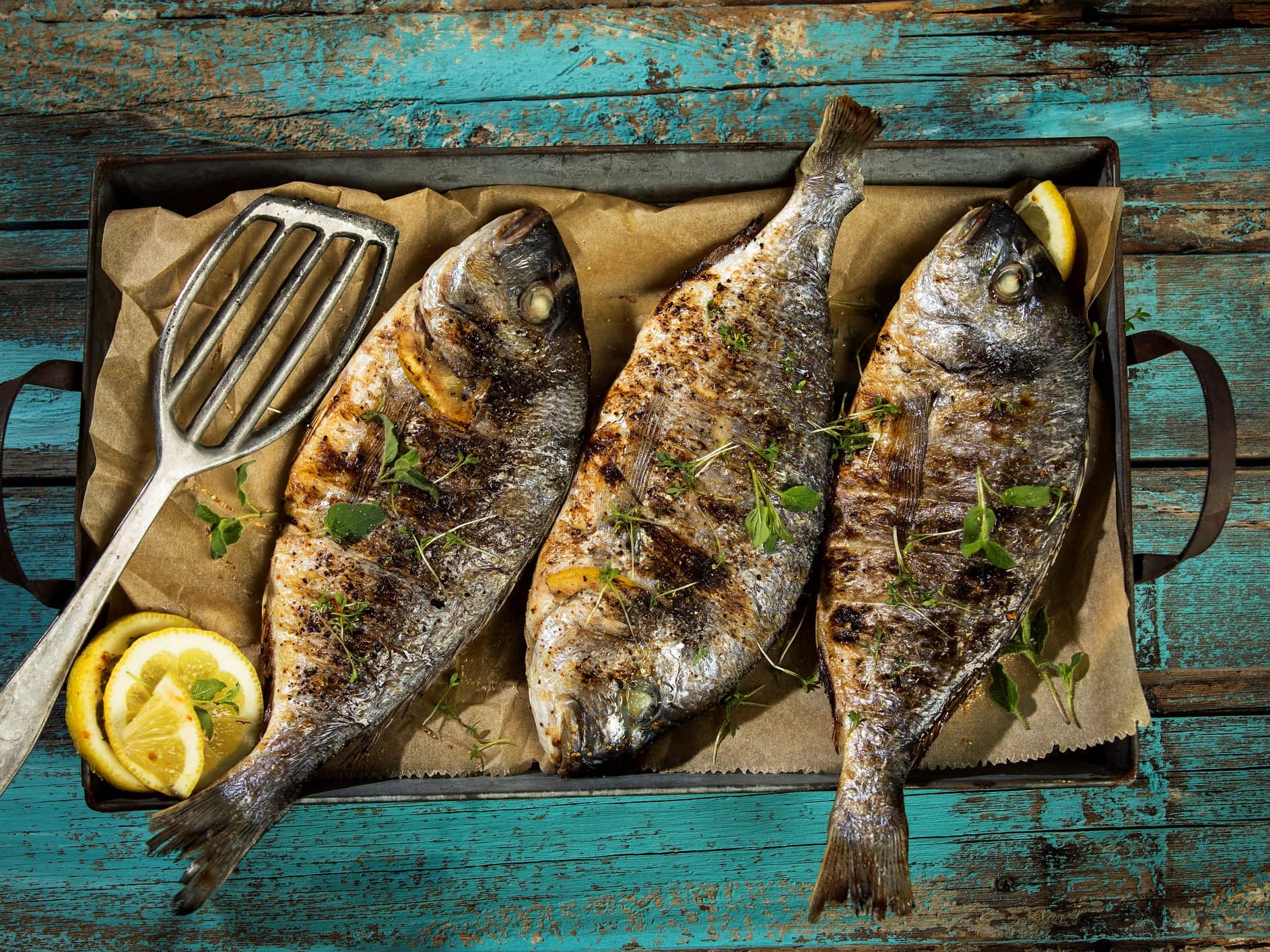 Der Ratgeber für dein Barbecue: Fisch richtig grillen