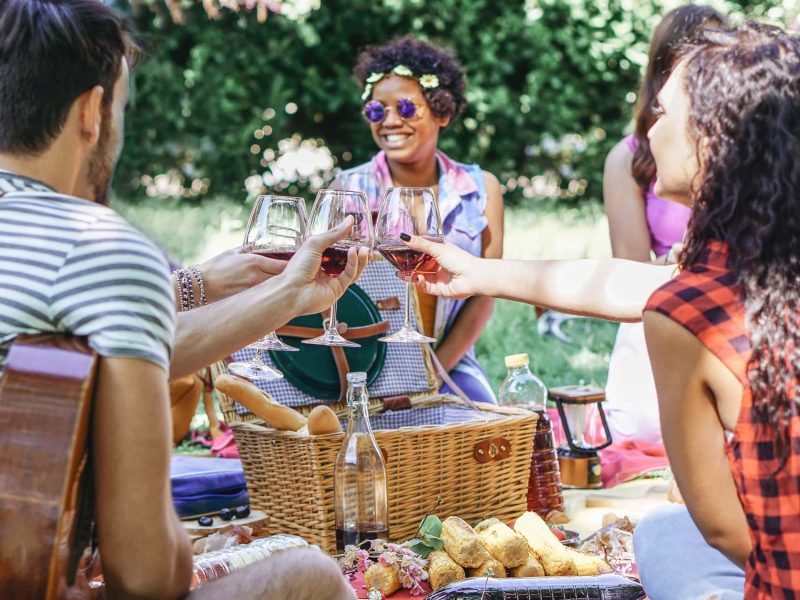 Picknickrezepte: Eine Gruppe von Freunden trifft sich am Tag des Picknick und stößt mit Weingläsern an