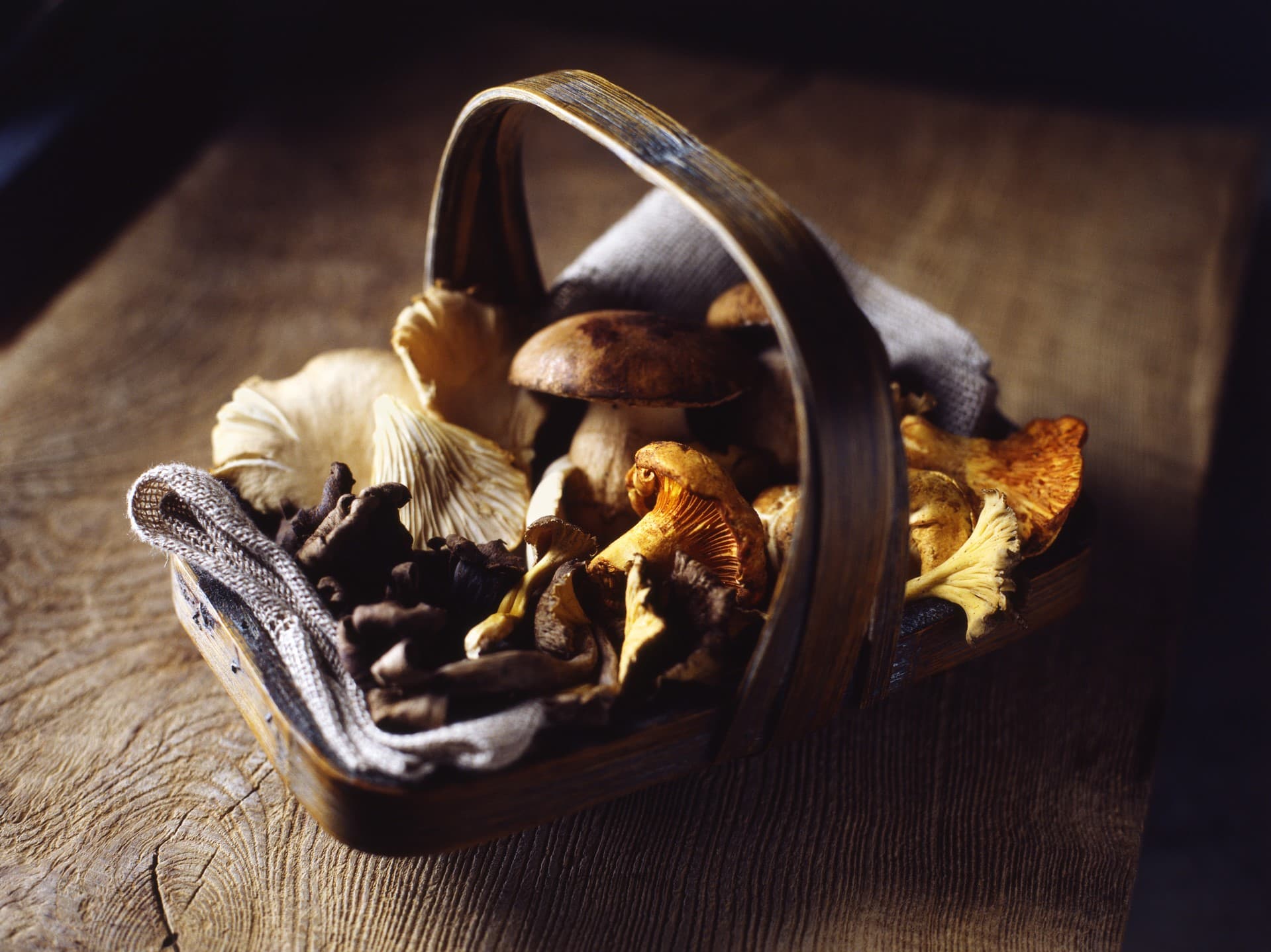 Pilze in der Küche – die beliebtesten Sorten