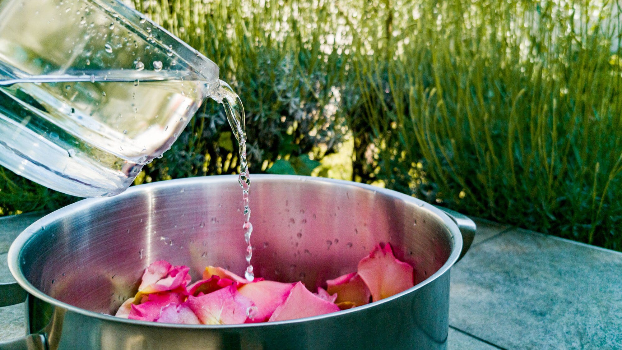 Selbst gemachter Rosensirup zur Walpurgisnacht Rosenblüten in Tops auf blauem Tisch vor wehendem Gras. In den Topf wird Wasser aus einer Karaffe gegossen. Außenaufnahme. Frontalansicht.