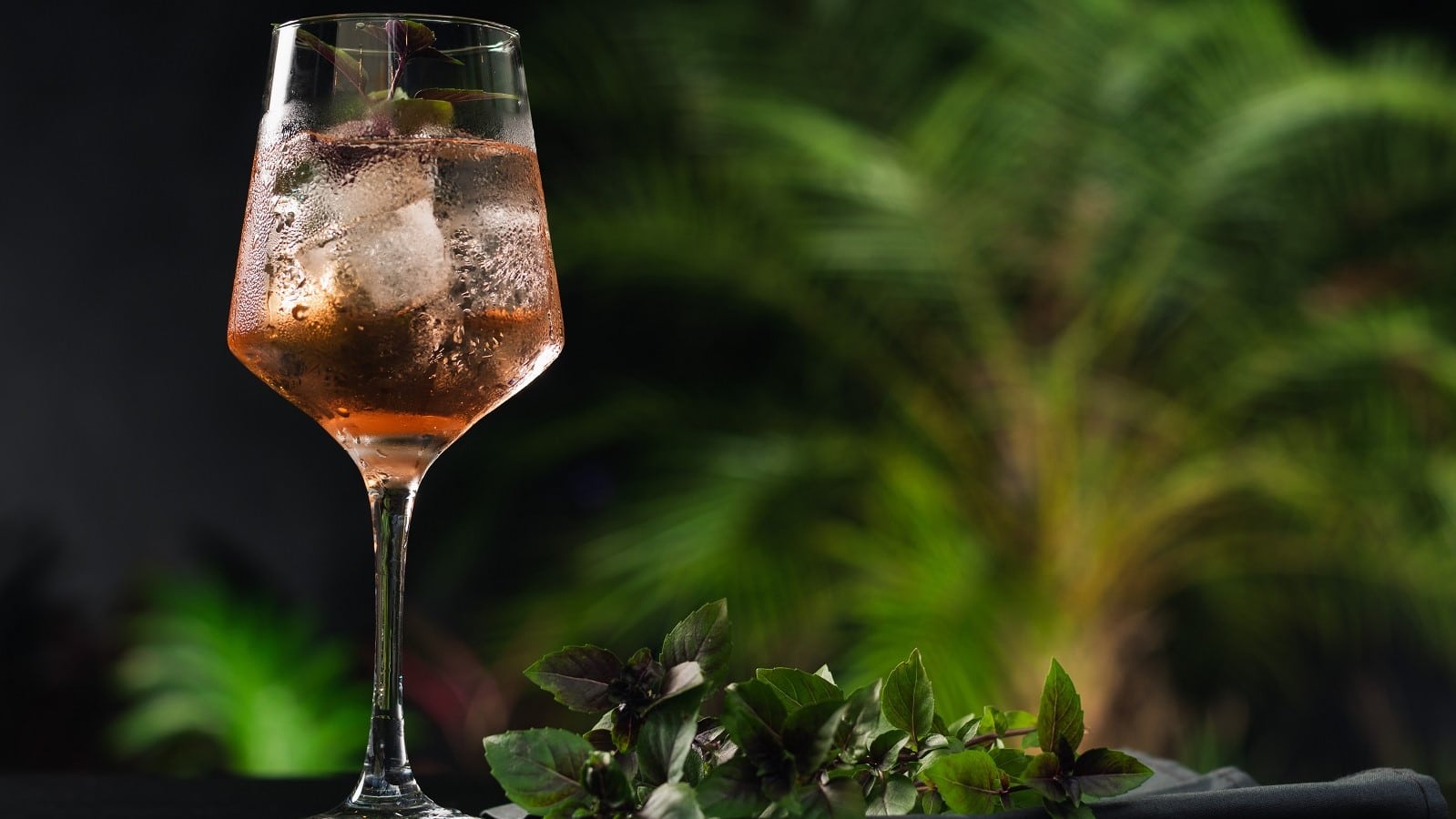Ein Glas mit Ramazzotti Rosato Mio vor einer Pflanze.