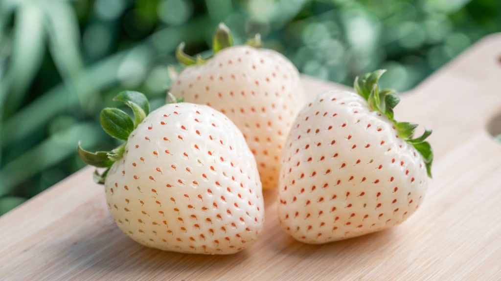 Weiße Erdbeeren: Kennst du Ananas-Erdbeeren?