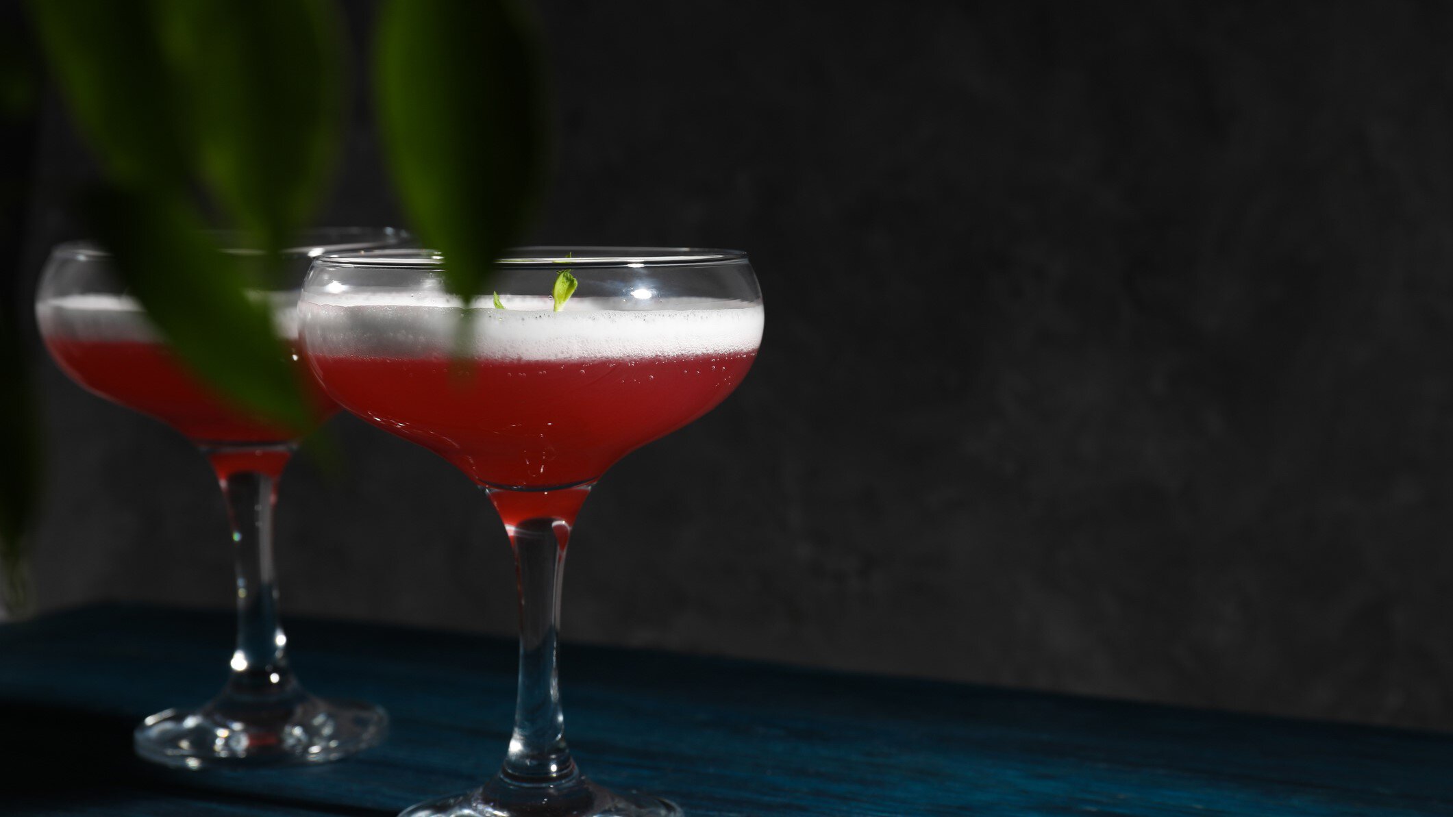 Zwie Cosmo Sour Cocktails in Coupette auf dunklem Untergrund vor dunklem Hintergrund. Im Bild Blätter. Frontalansicht.