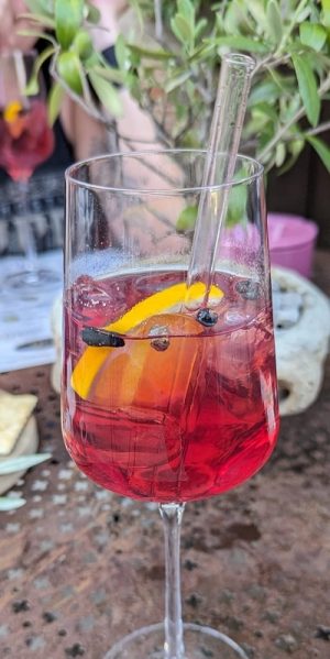 Gin Tonic mit Teranino, Wacholderbeeren und Orange im Glas.