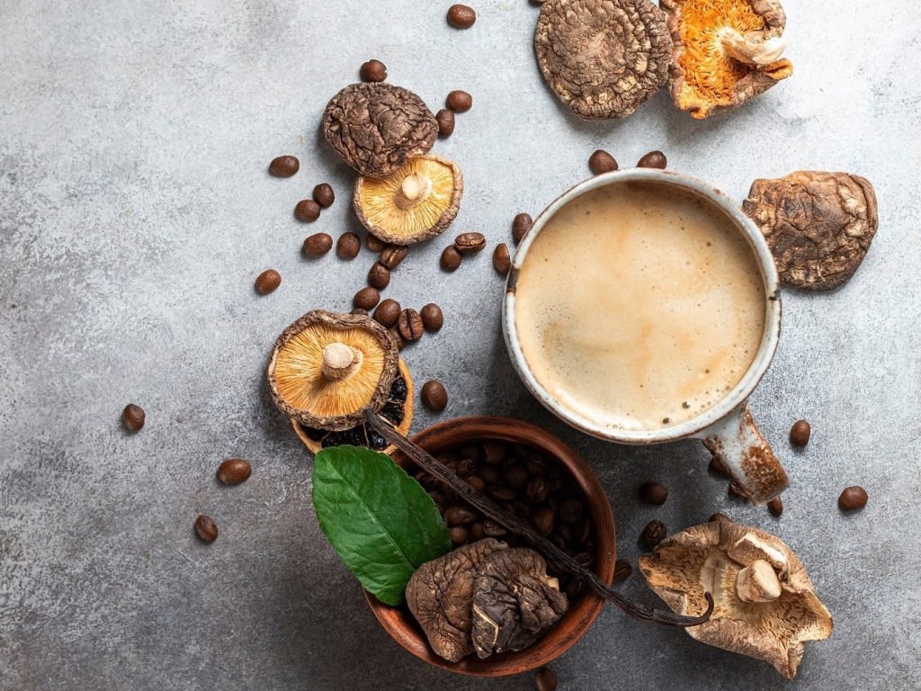 Was ist Mushroom-Coffee? Deswegen ist Pilzkaffee so gehypt