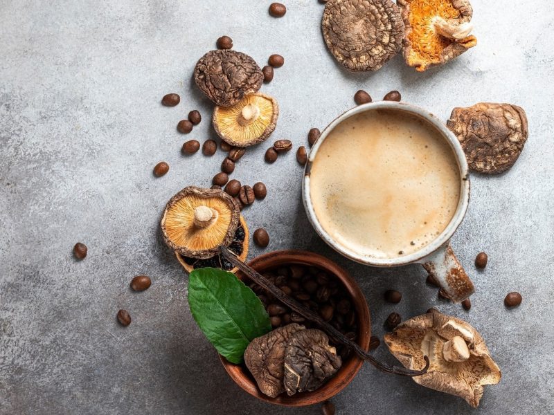 Mushroom-Coffee in einer Tasse, daneben verschiedene getrocknete Heilpilze.