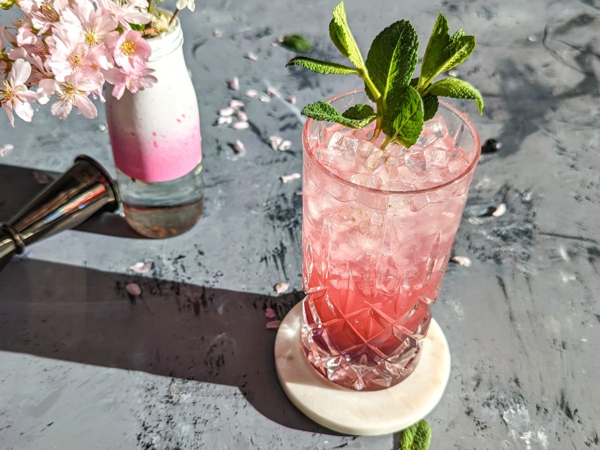 Ein Glas mit dem Rhabarberry auf einem grauen Tisch mit Kirschblüten und einem Metall-Jigger. Alles von schräg oben im Sonnenlicht fotografiert.